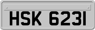 HSK6231