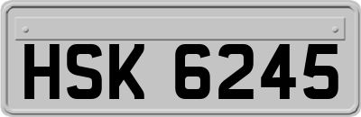 HSK6245