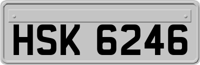 HSK6246