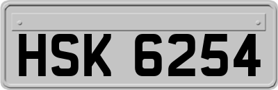 HSK6254