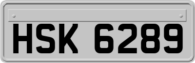 HSK6289