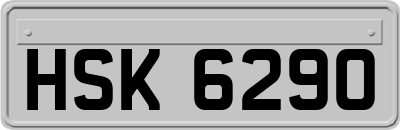 HSK6290