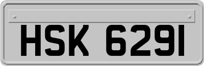 HSK6291