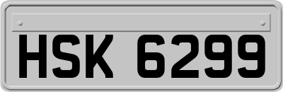HSK6299