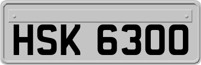 HSK6300