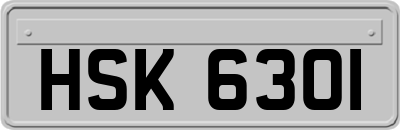 HSK6301