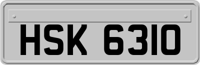 HSK6310
