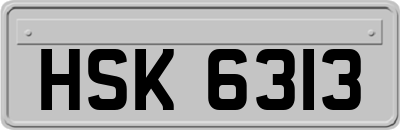 HSK6313