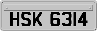HSK6314