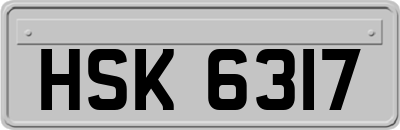 HSK6317