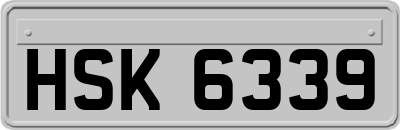 HSK6339