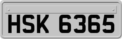 HSK6365