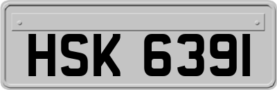 HSK6391