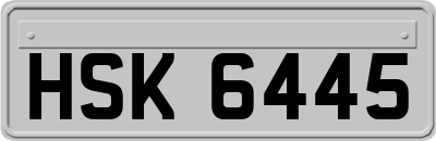 HSK6445