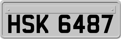 HSK6487