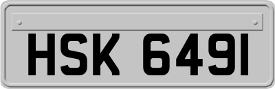 HSK6491
