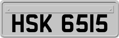 HSK6515