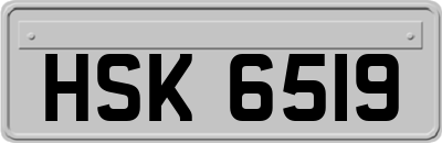HSK6519