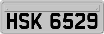HSK6529