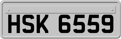 HSK6559