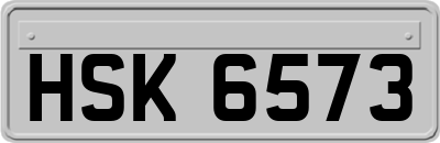 HSK6573