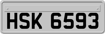 HSK6593