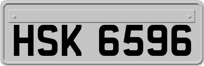 HSK6596