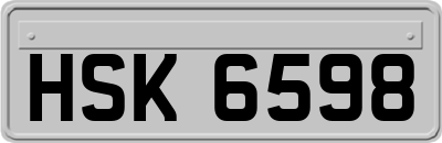 HSK6598