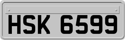 HSK6599