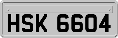 HSK6604