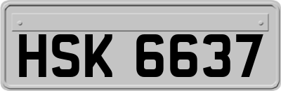 HSK6637