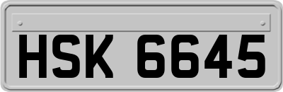 HSK6645
