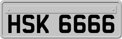 HSK6666