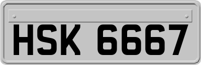 HSK6667