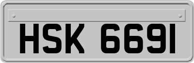 HSK6691