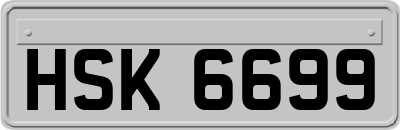 HSK6699