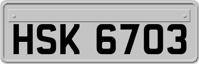 HSK6703