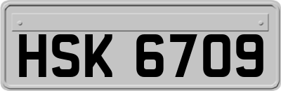 HSK6709