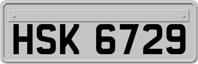 HSK6729