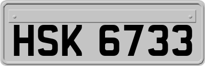 HSK6733