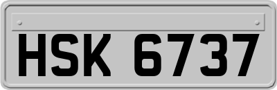 HSK6737