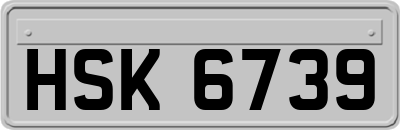 HSK6739
