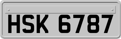 HSK6787