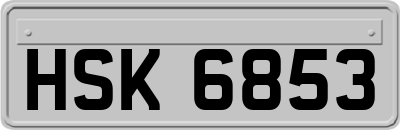 HSK6853