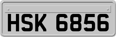 HSK6856