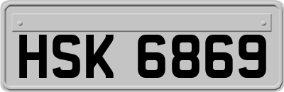 HSK6869