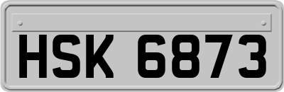 HSK6873