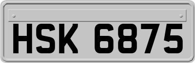 HSK6875