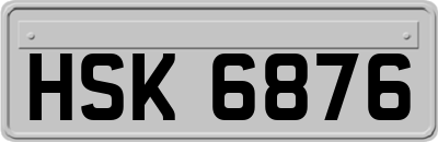 HSK6876
