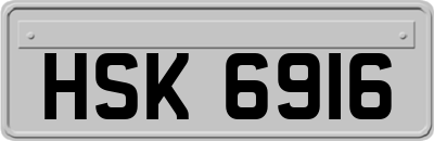HSK6916
